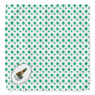 St. Patrick's Day Irish Setter Dog (red 1) Funny Bandana