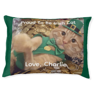 St Patrick's Day Leprechaun Cat  Pet Bed
