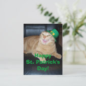 St Patrick's Day Leprechaun Cat Postcard (Standing Front)
