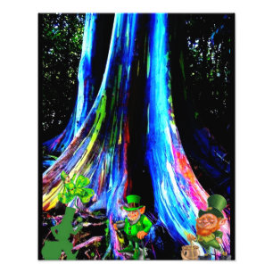 ST. PATRICK'S DAY LEPRECHAUNS PHOTO PRINT