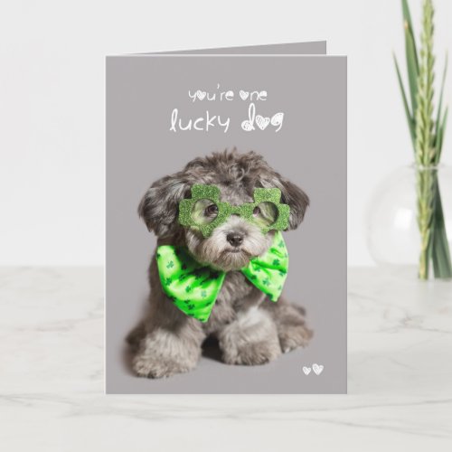 St Patricks Day Lucky Dog Card