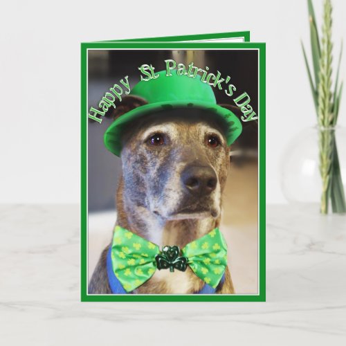 St Patricks Day Lucky Dog Card