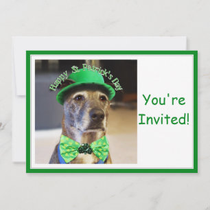 St Patrick's Day Lucky Dog Invitation