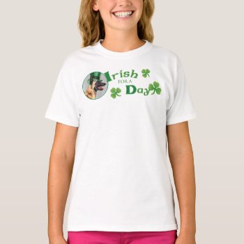 St. Patrick's Day Malinois T-shirt by DogsInk at Zazzle
