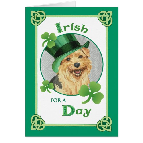 St Patricks Day Norfolk Terrier