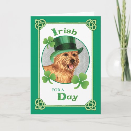 St Patricks Day Norwich Terrier Card