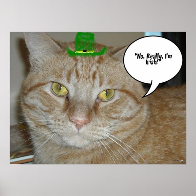 St. Patrick's Day Orange Tabby Cat Poster (Front)