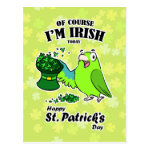 St. Patrick's day parrot postcard