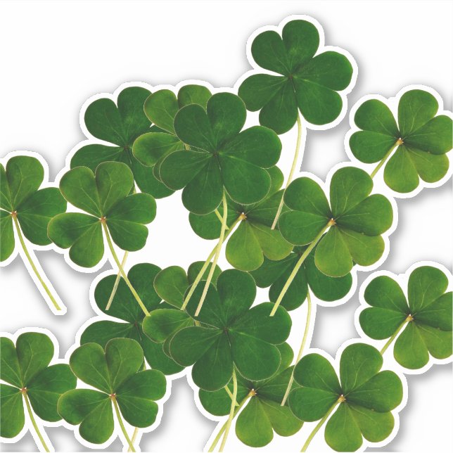 St Patrick's Day Party Shamrock Leaf Green 2020 Sticker (Front)