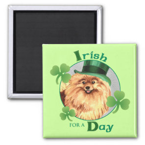 St. Patrick's Day Pomeranian Magnet