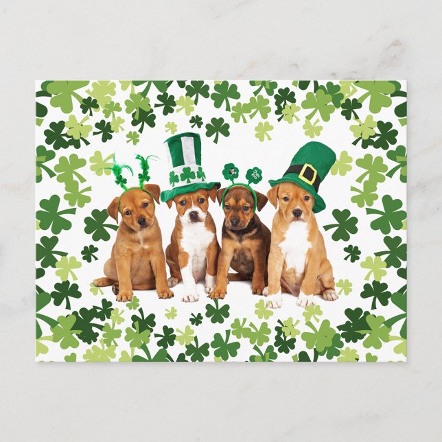 St. Patrick's Day Postcard (Creator Uploaded)