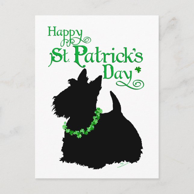 St Patrick's Day Scottish Terrier Postcard (Front)