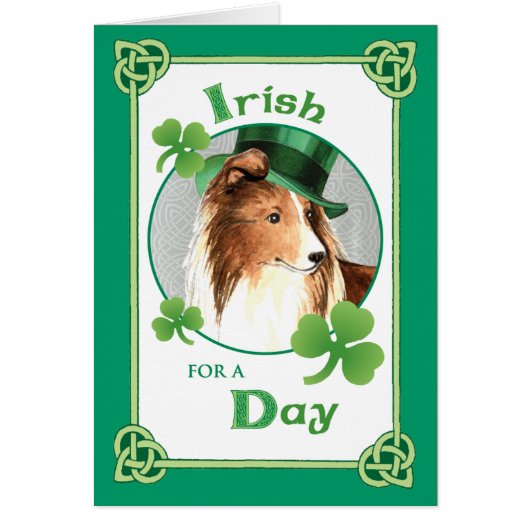St. Patrick's Day Sheltie Cards (Front)