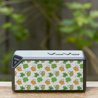 St. Patrick's Day Speaker