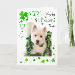 St. Patrick's Day Westie Good Health And Happiness Card