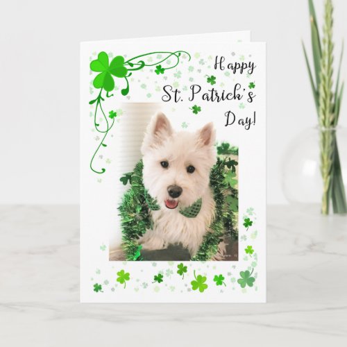 St Patricks Day Westie Good Health And Happiness Card