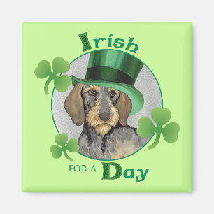 St. Patrick's Day Wirehaired Dachshund Magnet