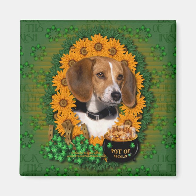 St Patricks - Pot of Gold - Beagle Magnet (Front)