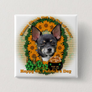 St Patricks - Pot of Gold - Chihuahua - Isabella Pinback Button