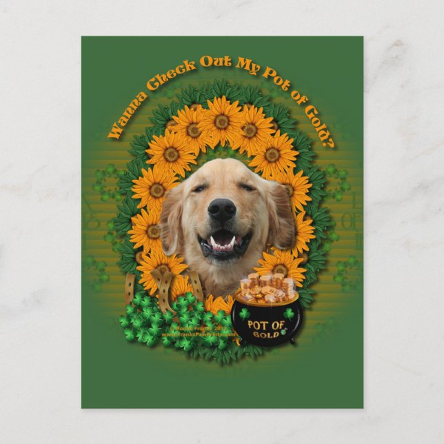 St Patricks - Pot of Gold -Golden Retriever Mickey Postcard (Front)