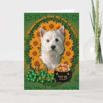 St Patricks - Pot Of Gold - West Highland Terrier Card by FrankzPawPrintz at Zazzle