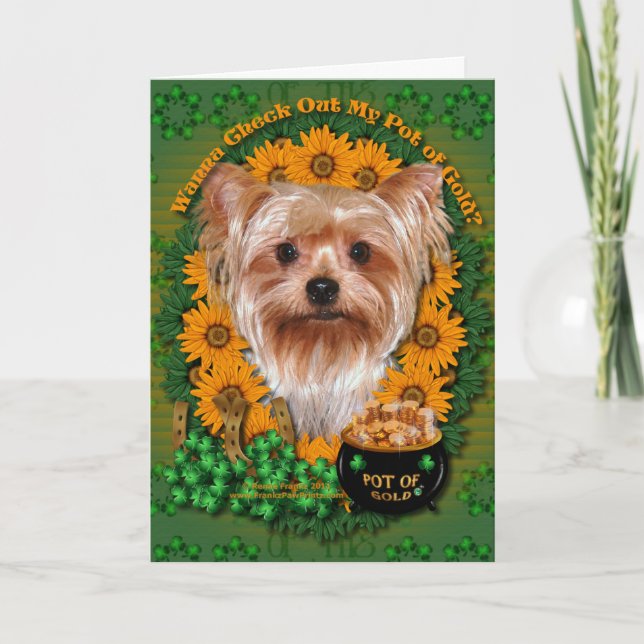 St Patricks - Pot of Gold - Yorkshire Terrier Card (Front)