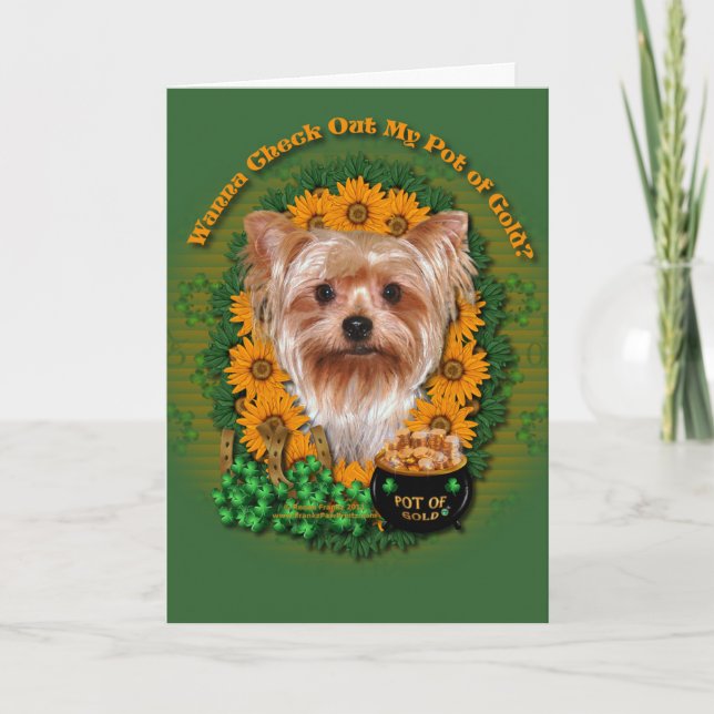 St Patricks - Pot of Gold - Yorkshire Terrier Card (Front)