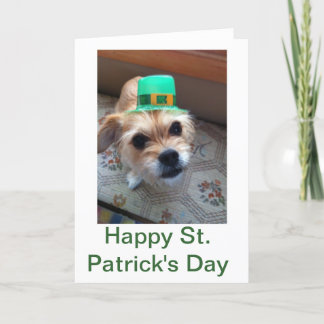 St. Patrick's Puppy Card