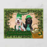 St Pats Day - Goldendoodles - Sadie And Izzie Postcard at Zazzle