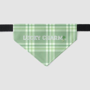 St Patties Day Lucky Charm Varsity Text Pet Bandana Collar