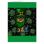 St. Patty Yorkie Poo (Front)