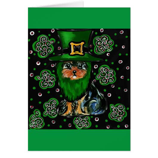 St. Patty Yorkie Poo (Front)