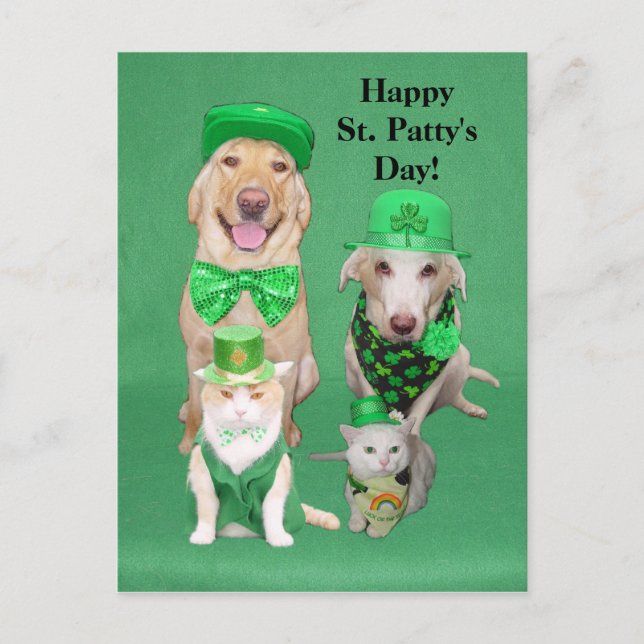 St. Patty's Day Get Together Postcard (Front)
