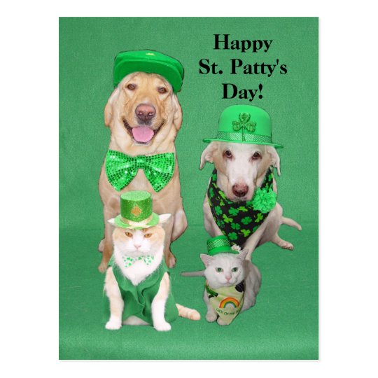 St. Patty's Day Get Together Postcard