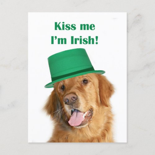 St Pattys golden retriever Postcard