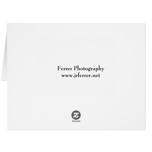 St. Paul Overlook (Back Horizontal)