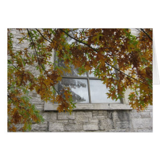 St. Paul's Autumn Oak Cards