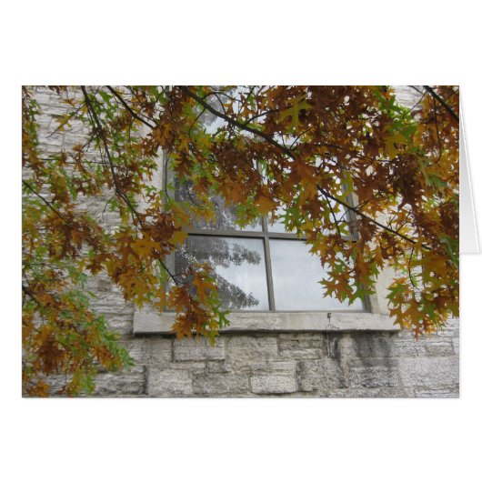 St. Paul's Autumn Oak Cards (Front Horizontal)