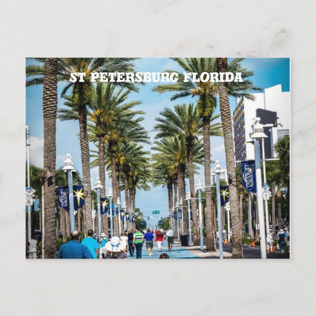 St Petersburg,Florida  Palm Trees Postcard (Front)