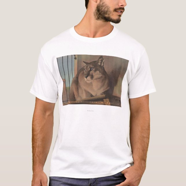 St. Petersburg, Florida - Picture Of Florida T-Shirt (Front)