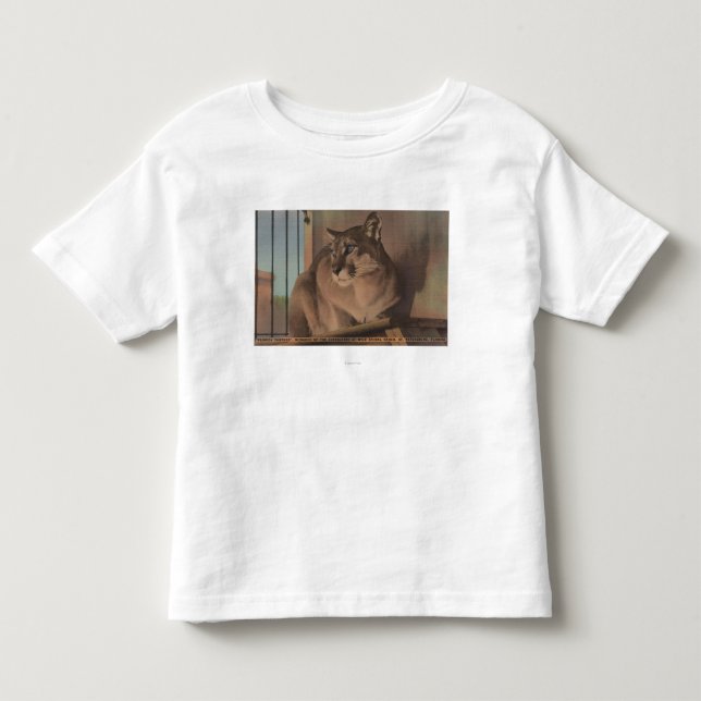 St. Petersburg, Florida - Picture Of Florida Toddler T-shirt (Front)