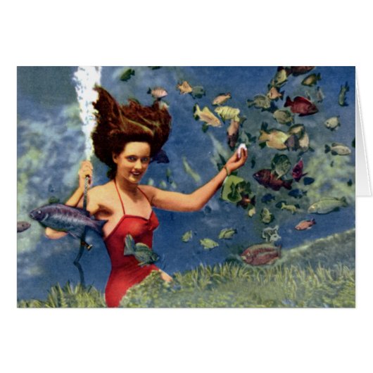 St. Petersburg Florida Weekiwachee Springs (Front Horizontal)