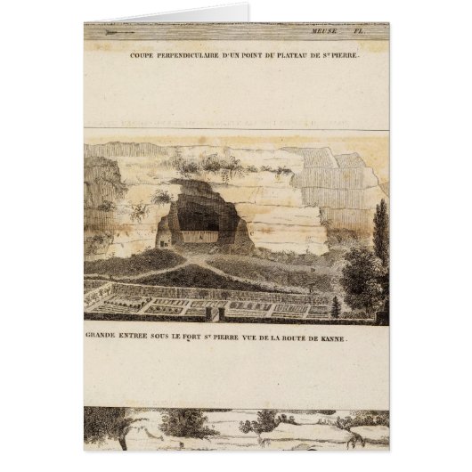 St Pierre Plateau Cards (Front)