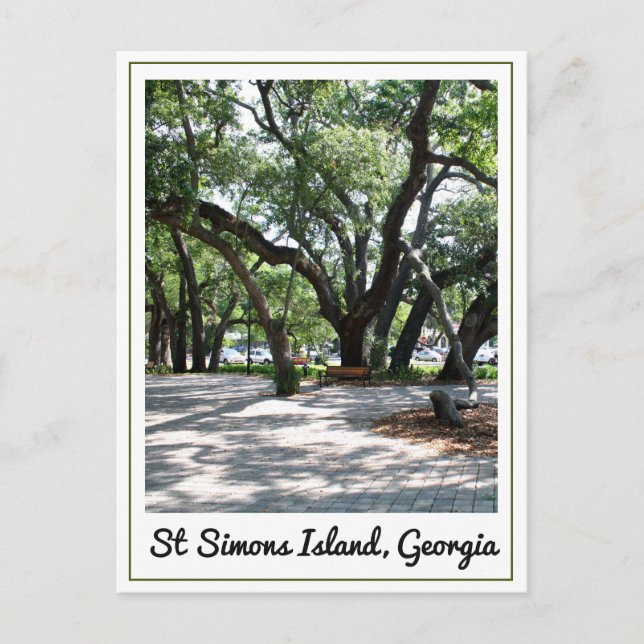 St Simons GA Wandering Oak Tree Postcard (Front)