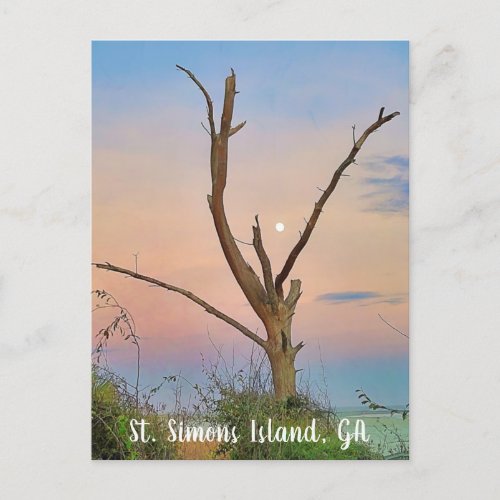 St Simons Island GA East Beach Sunset Postcard