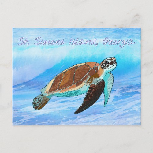 St Simons Island GA Sea Turtle Postcard