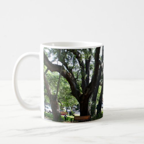 St Simons Island GA Wandering Oak Photo Coffee Mug