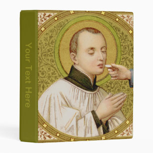 St. Stanislaus Kostka (SNV 25) (Square Image) 4a Mini Binder