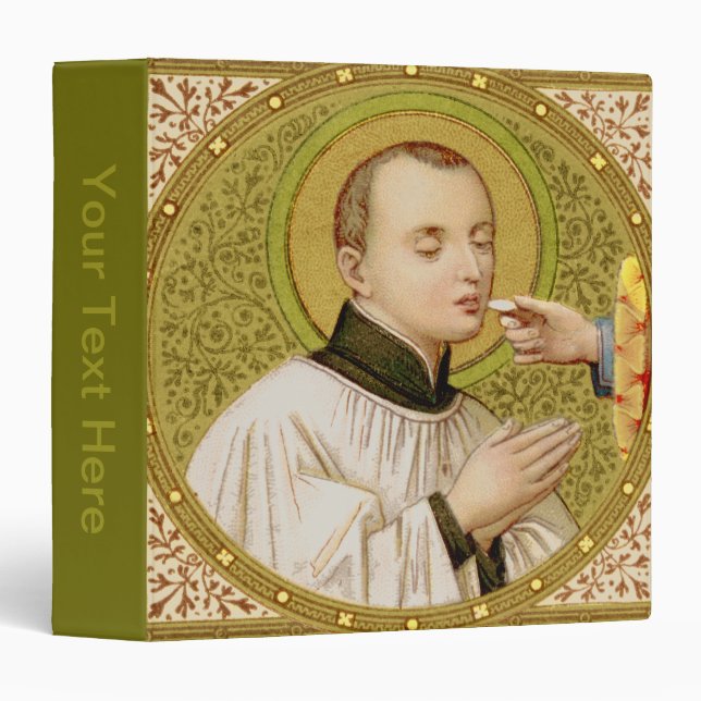St. Stanislaus Kostka (SNV 25) (Square Image) 4b Binder (Front/Spine)