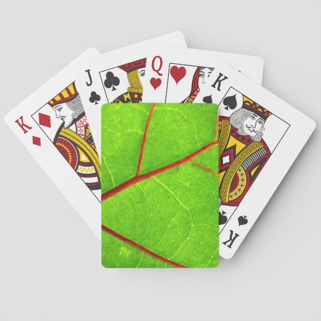 St. Thomas 1 Poker Cards (Back)